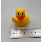YOUVE BEEN DUCKED!