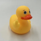 YOUVE BEEN DUCKED!