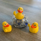 YOUVE BEEN DUCKED!