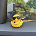 YOUVE BEEN DUCKED!