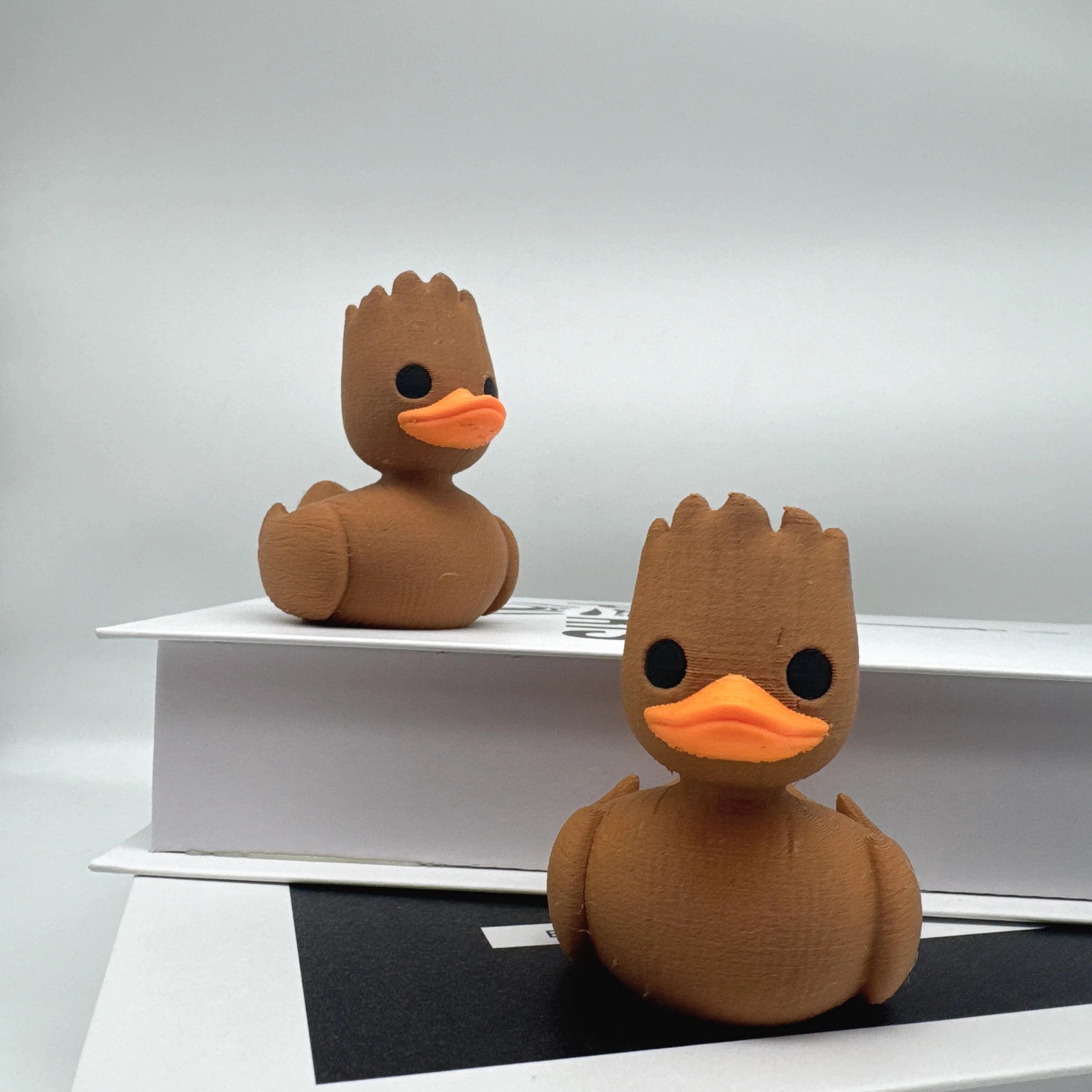 YOUVE BEEN DUCKED!