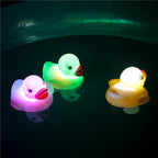 YOUVE BEEN DUCKED!