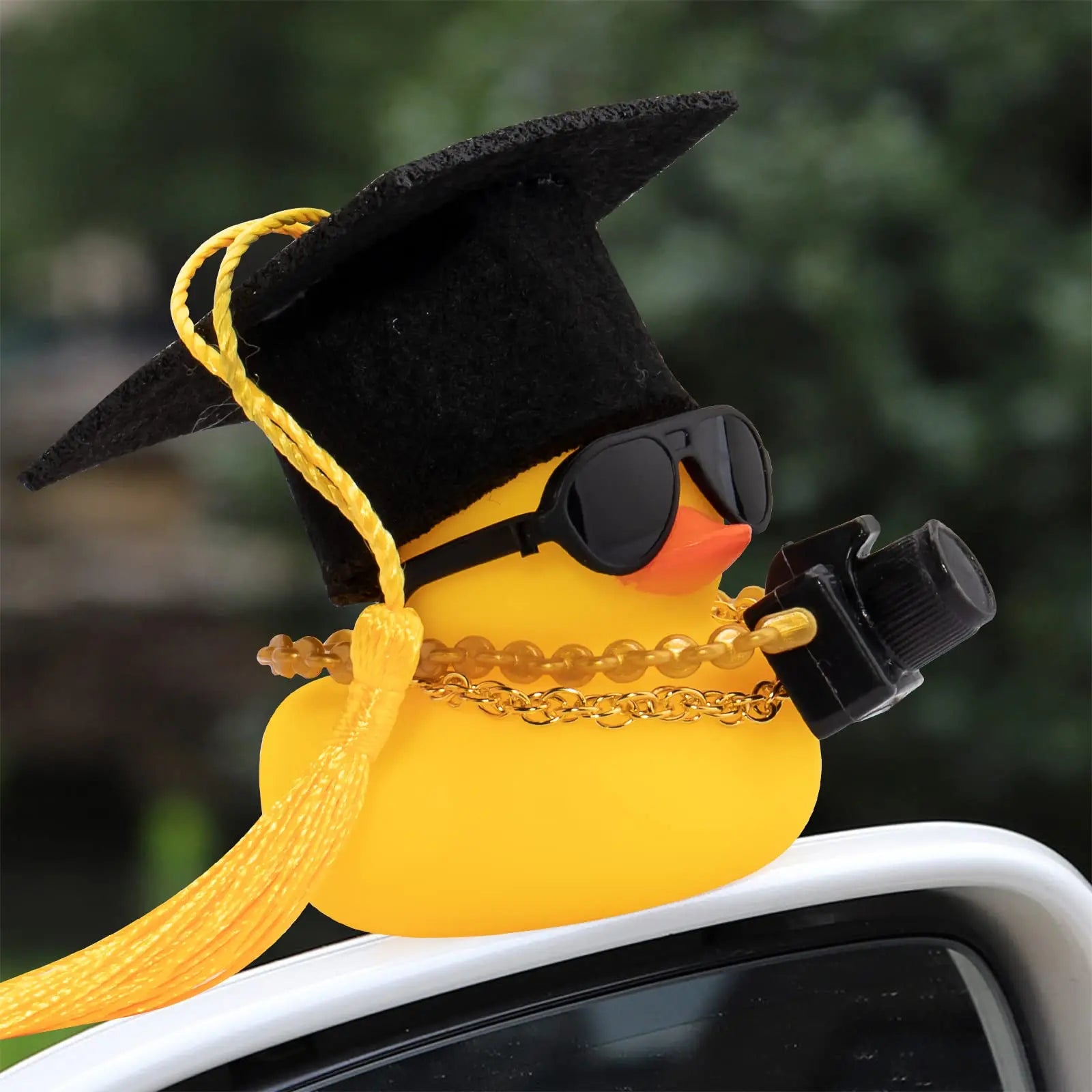 YOUVE BEEN DUCKED!