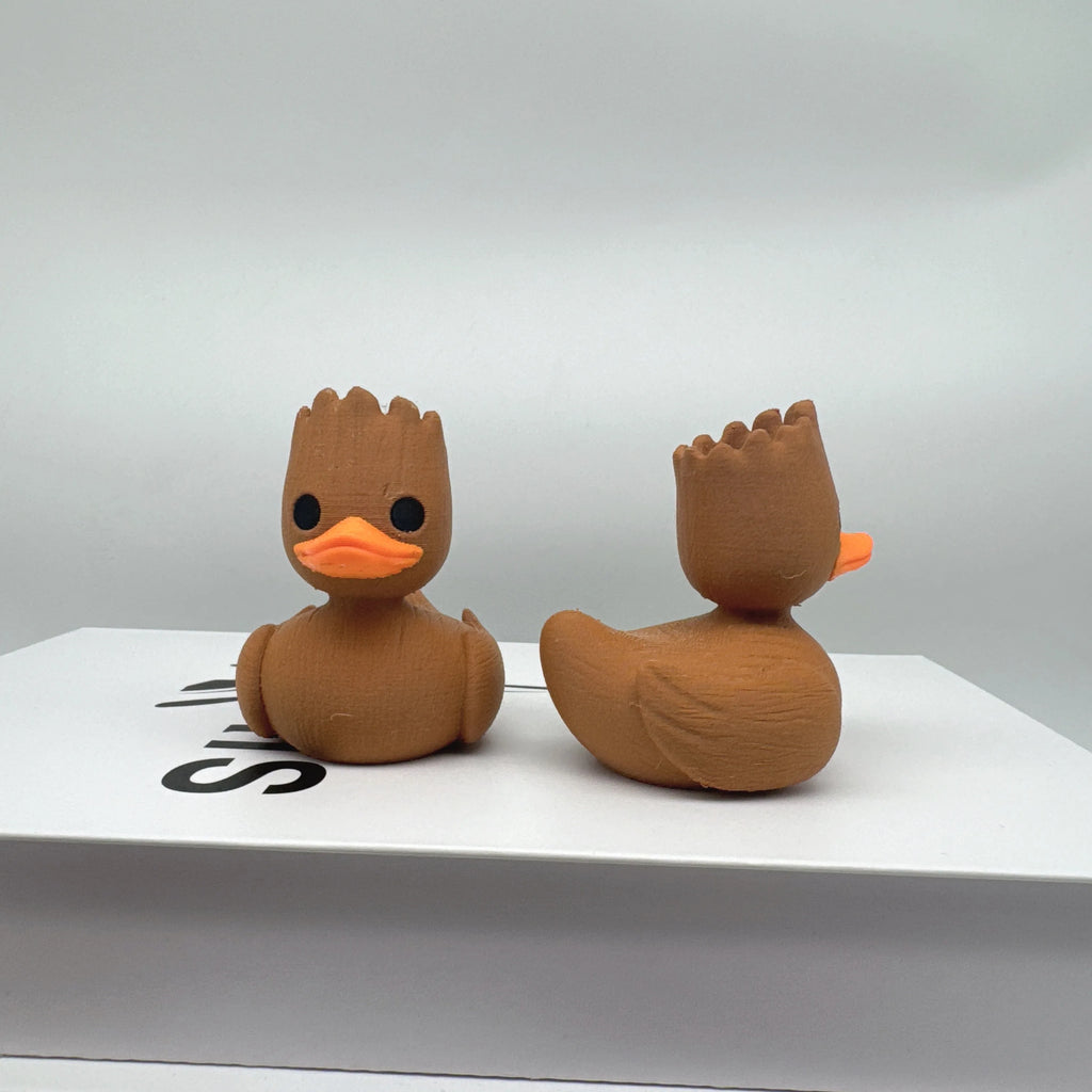 YOUVE BEEN DUCKED!