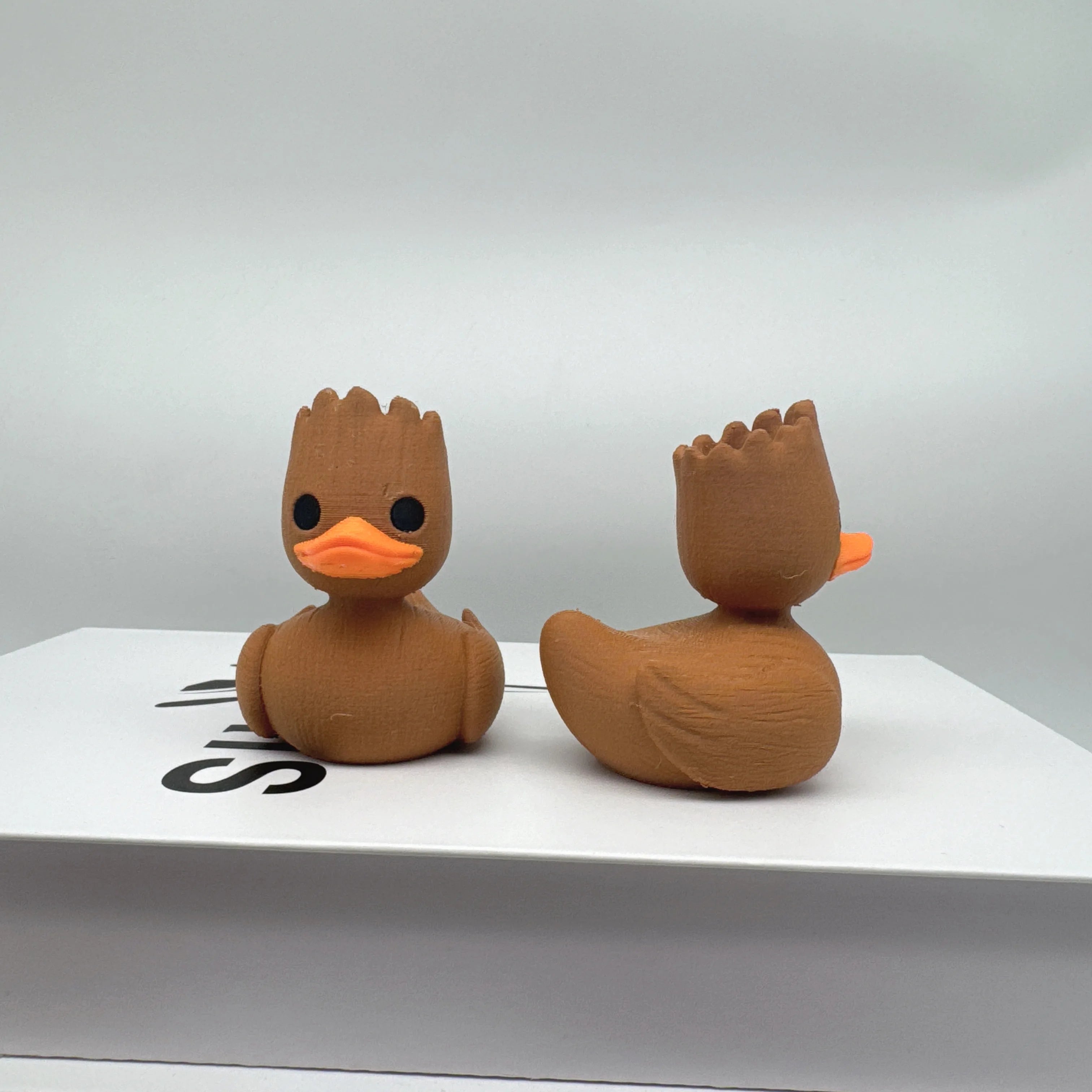 YOUVE BEEN DUCKED!