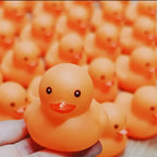 YOUVE BEEN DUCKED 60 RANDOM